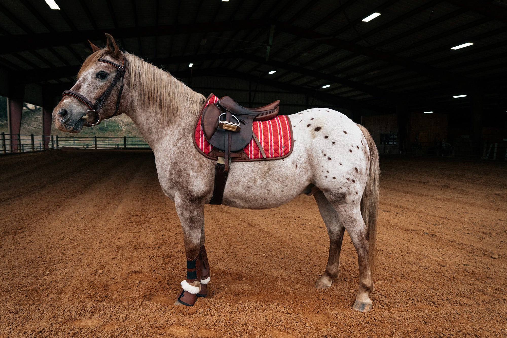 Sixteen Cypress Pony Jumper Pad, Derby Stripe