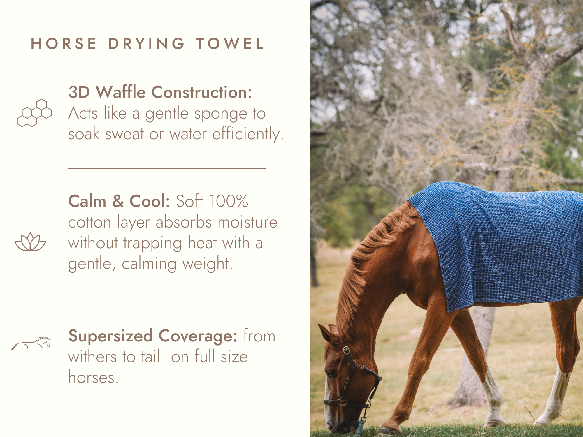 Sixteen Cypress Cotton Waffle Horse Drying Towel, Sand