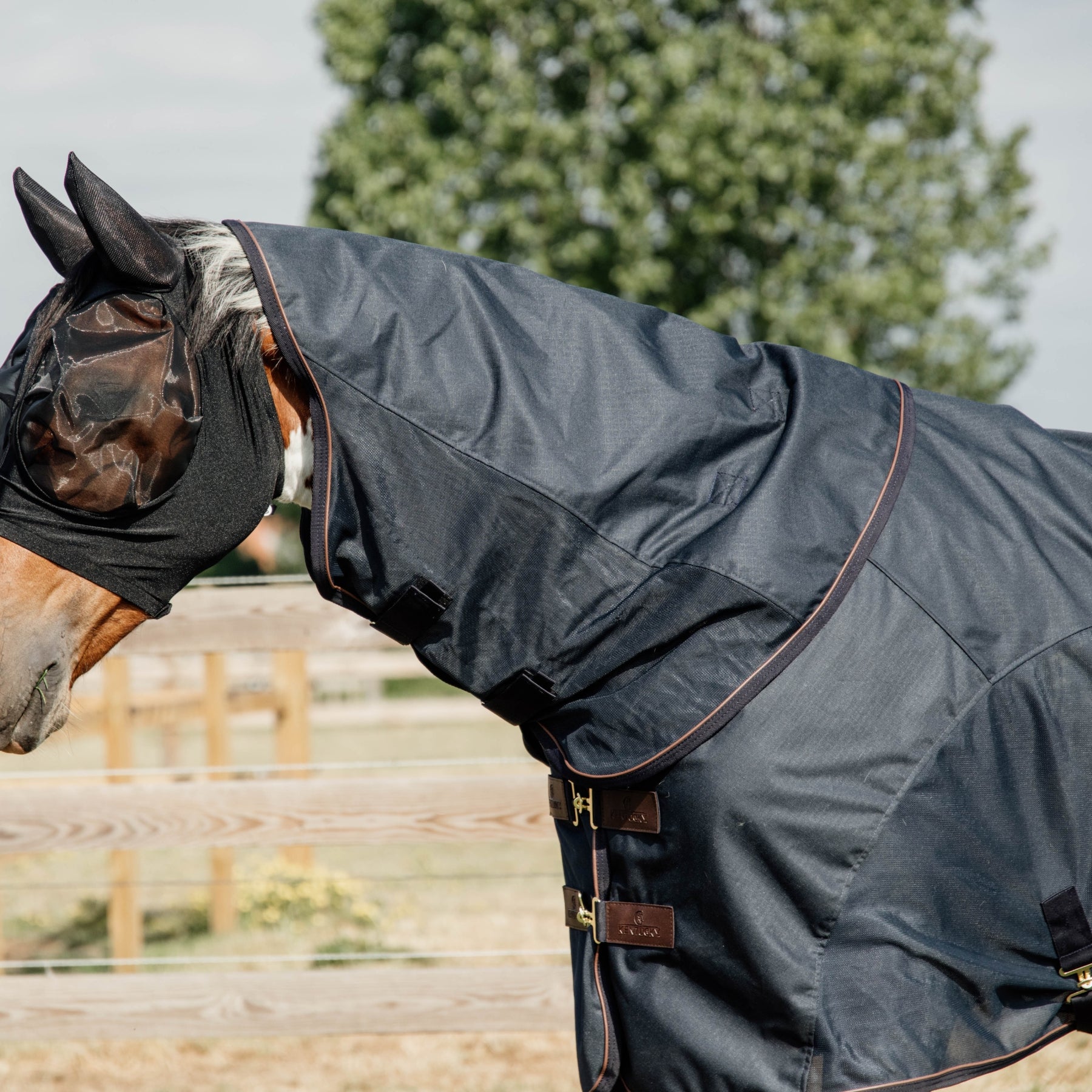 Kentucky Horsewear Waterproof Combo Fly Rug, Navy