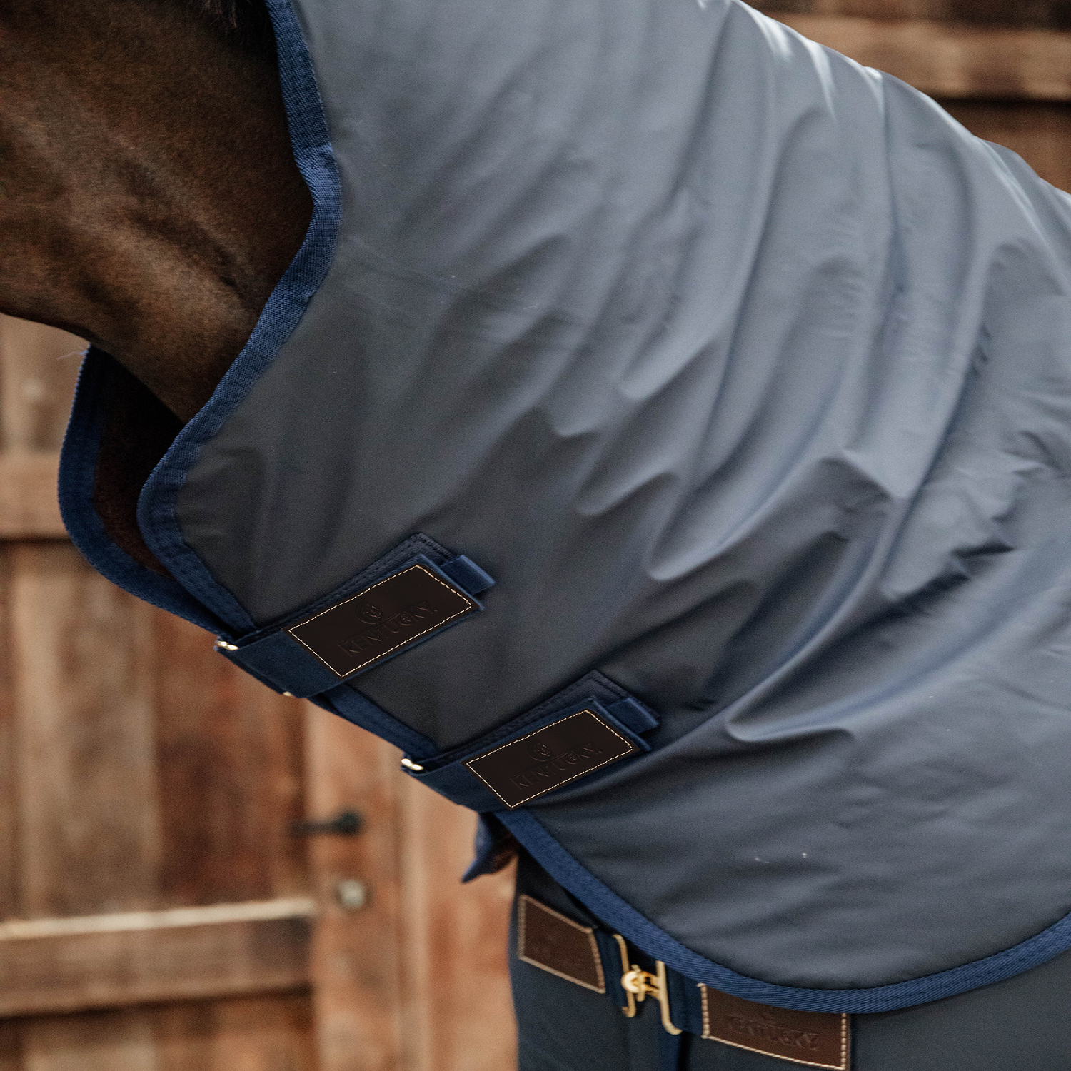 Kentucky Horsewear Neck All Weather Hurricane, Navy