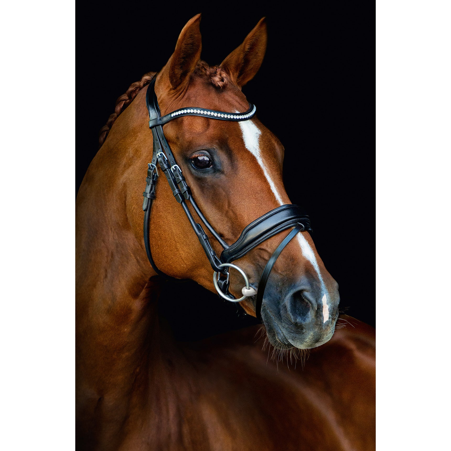 Schockemohle Malibu Anatomical Dressage Bridle, Black/Silver