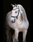Schockemohle Equitus Alpha Anatomical Special Bridle, Black/Silver
