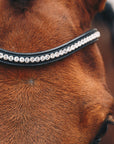 Schockemohle Equitus Beta Anatomical Special Bridle, Black/Silver