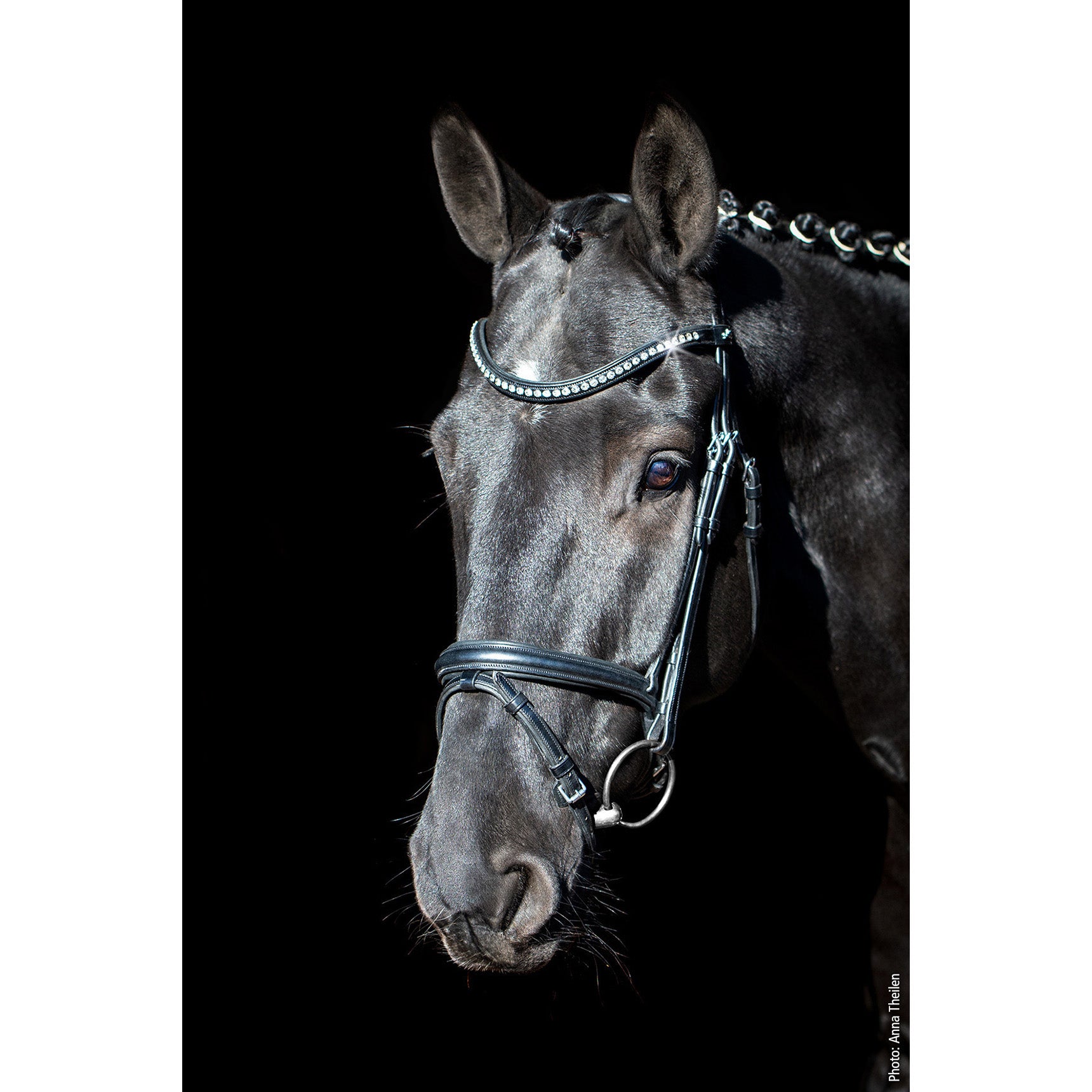 Schockemohle Rome Select Anatomical Bridle, Black/Crystal