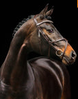 Schockemohle Rio Select Anatomical Bridle, Espresso/Silver