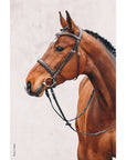 Schockemohle Montreal Select Anatomical Bridle, Espresso/Cream/Silver