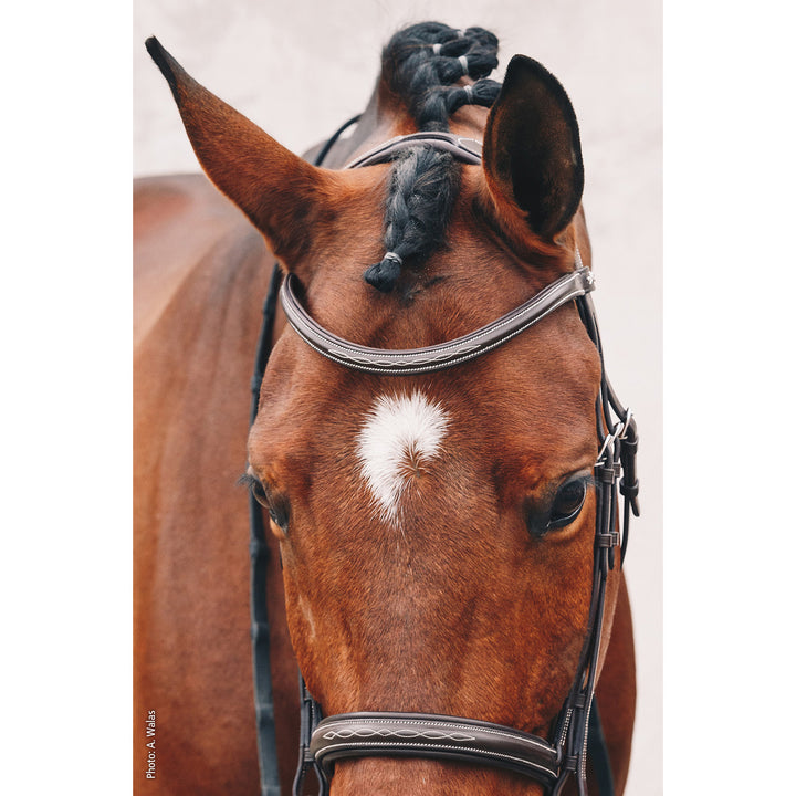 Schockemohle Montreal Select Anatomical Bridle, Espresso/Cream/Silver