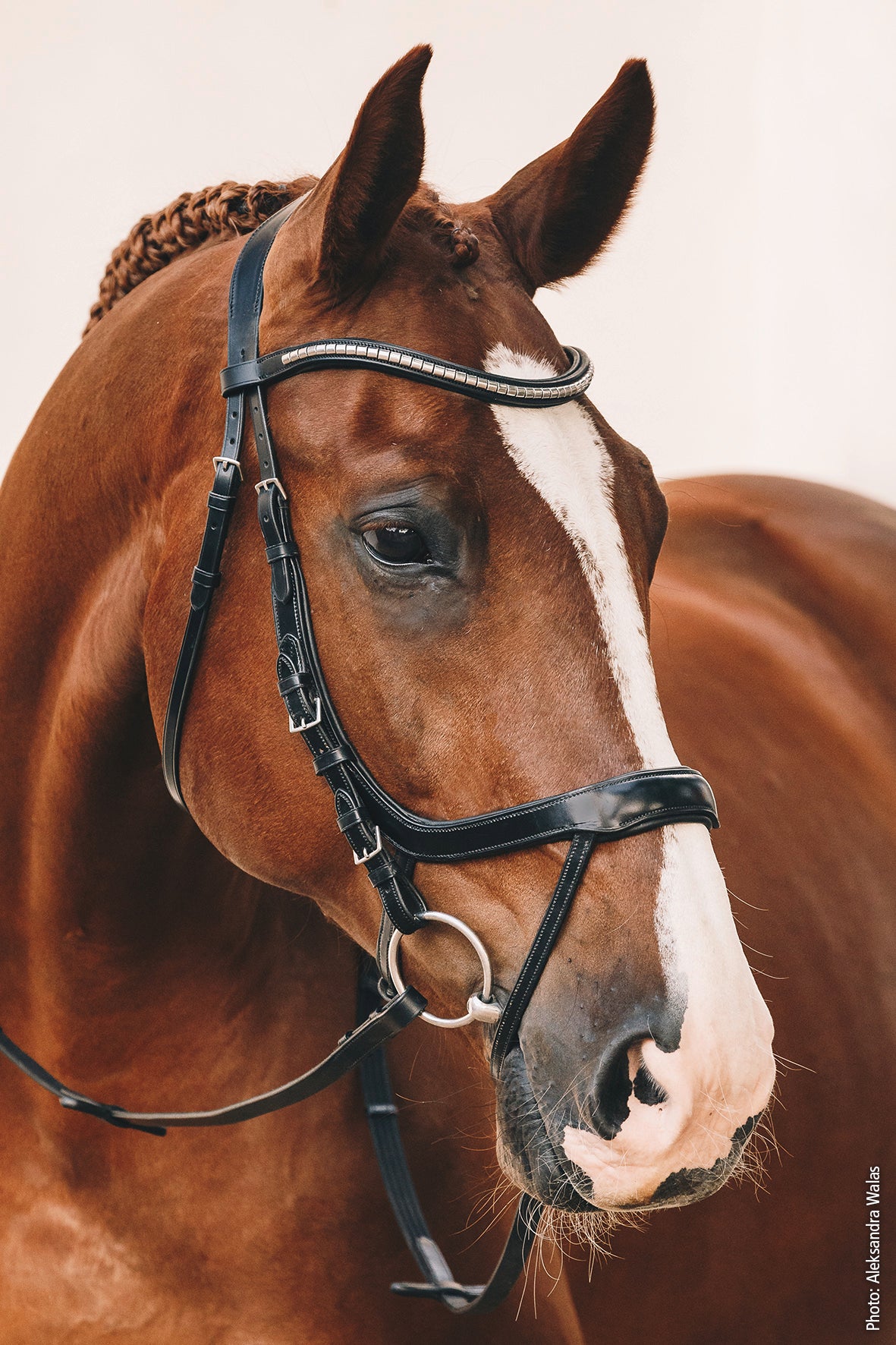 Schockemohle Equitus Omega Anatomist Bridle, Black/Silver