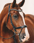 Schockemohle Equitus Omega Anatomist Bridle, Black/Silver