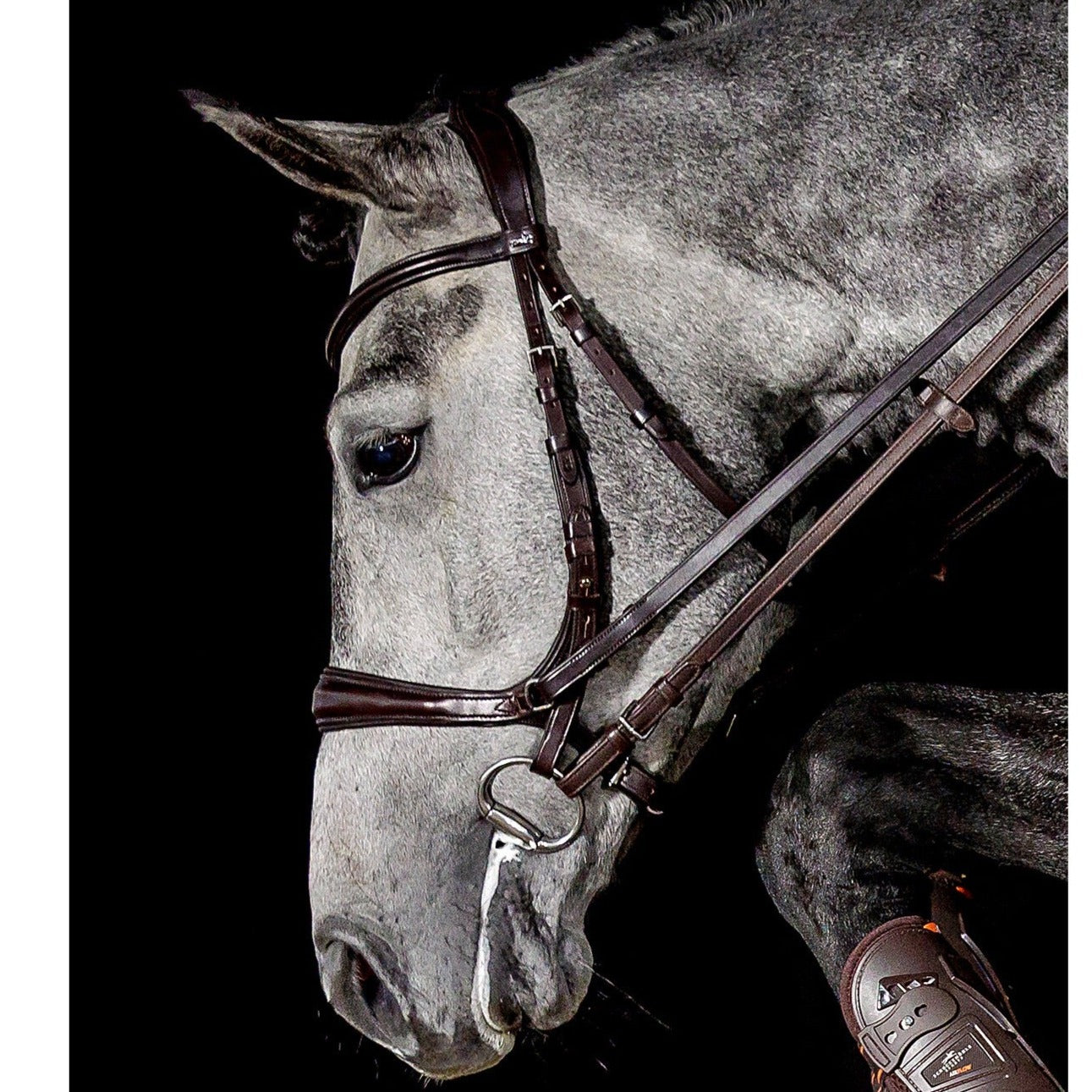Schockemohle Equitus Theta Bitless Bridle, Espresso/Silver