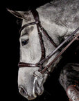 Schockemohle Equitus Theta Bitless Bridle, Espresso/Silver