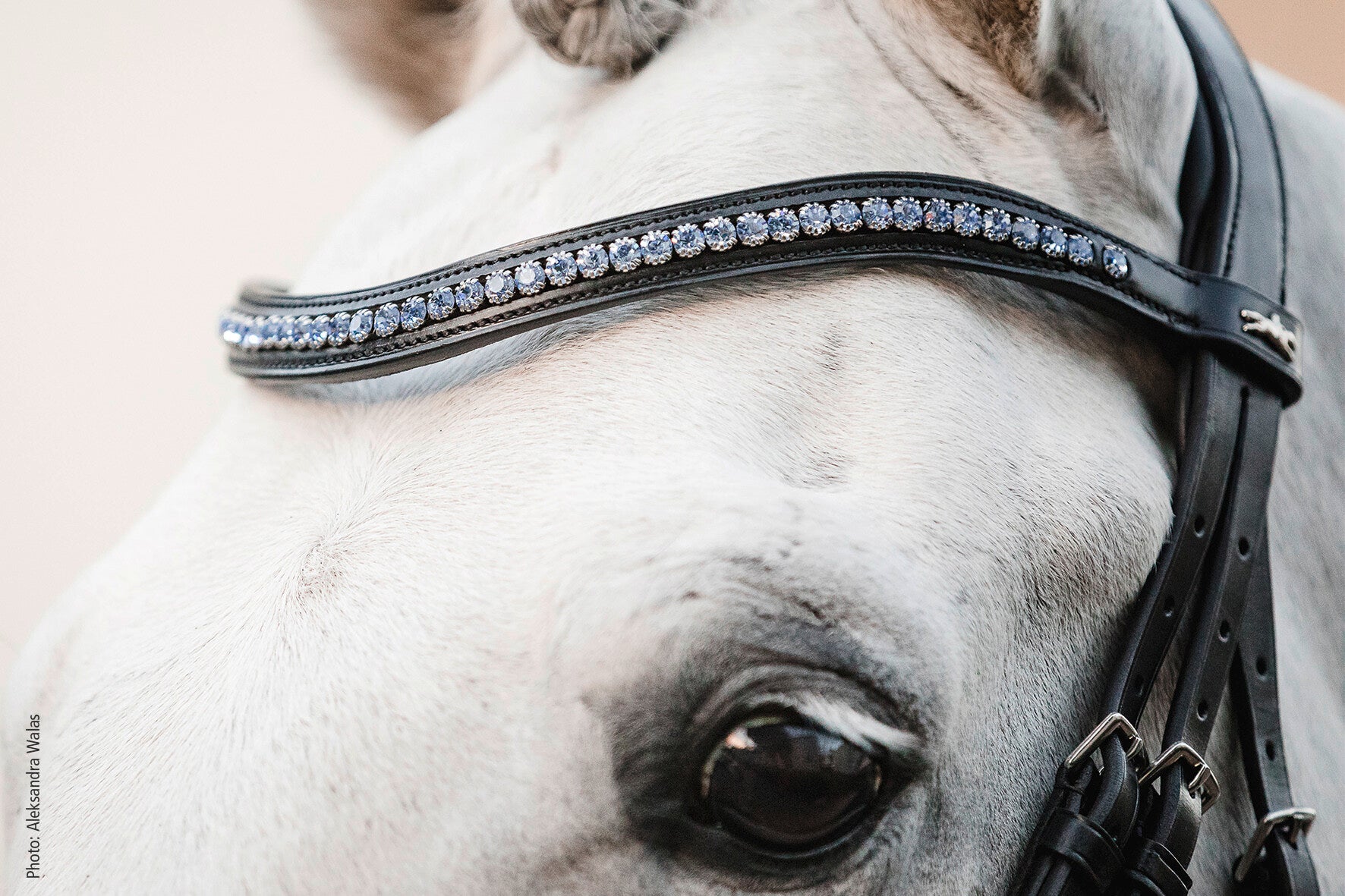 Schockemohle Browband Diamond Select Limited Headband, Black/Light Blue