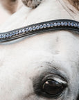 Schockemohle Browband Diamond Select Limited Headband, Black/Light Blue