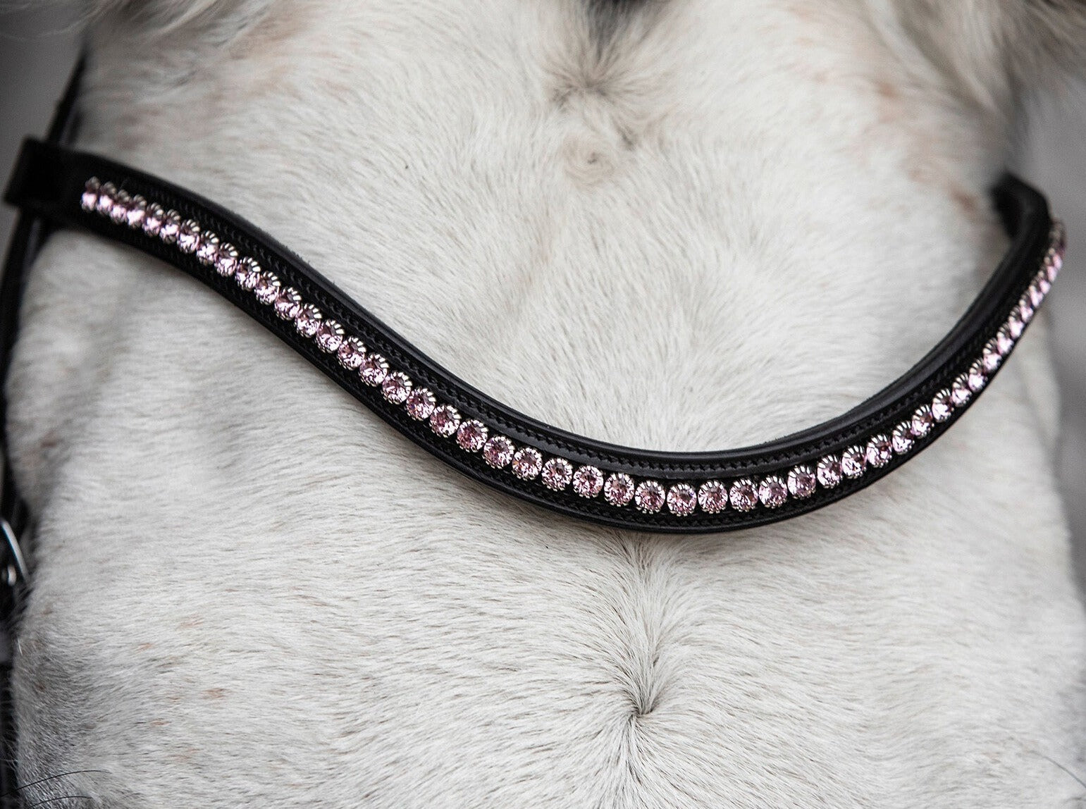 Schockemohle Browband Diamond Select Limited Headband, Black/Mauve