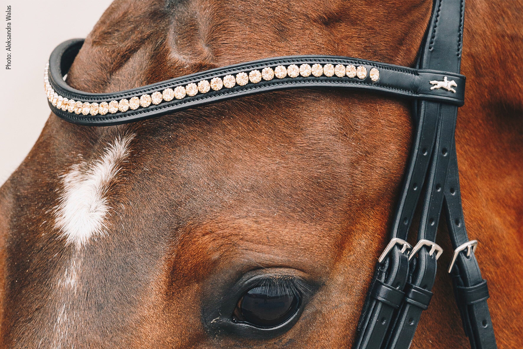 Schockemohle Browband Diamond Select Limited Headband, Black/Peach