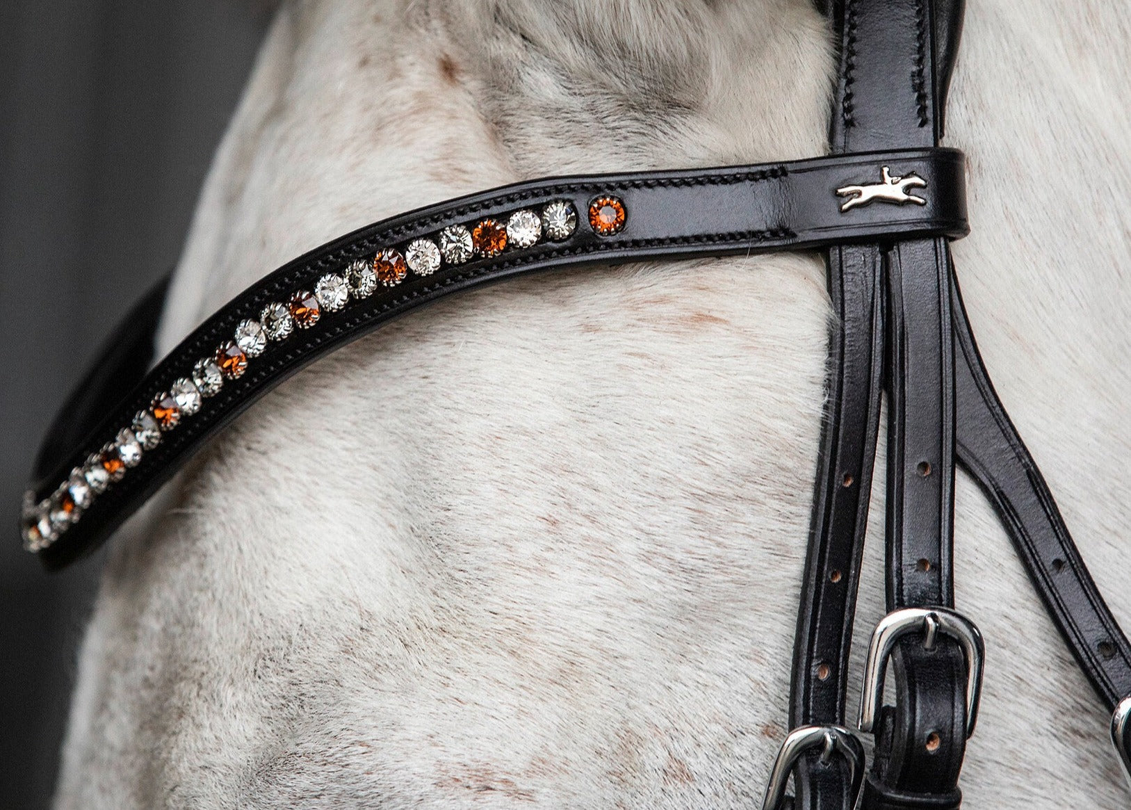 Schockemohle Browband Diamond Select Limited Headband, Black/Toffee Shades