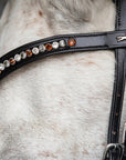 Schockemohle Browband Diamond Select Limited Headband, Black/Toffee Shades