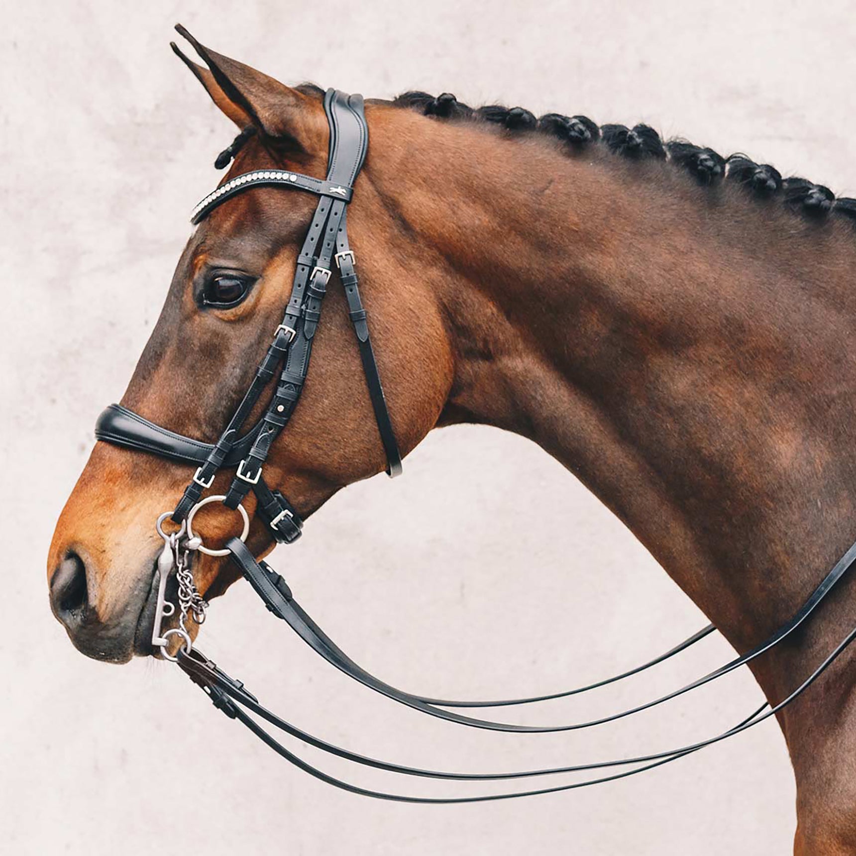 Schockemohle Equitus Gamma Anatomical Double Bridle, Black/Silver
