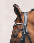 Schockemohle Equitus Gamma Anatomical Double Bridle, Black/Silver