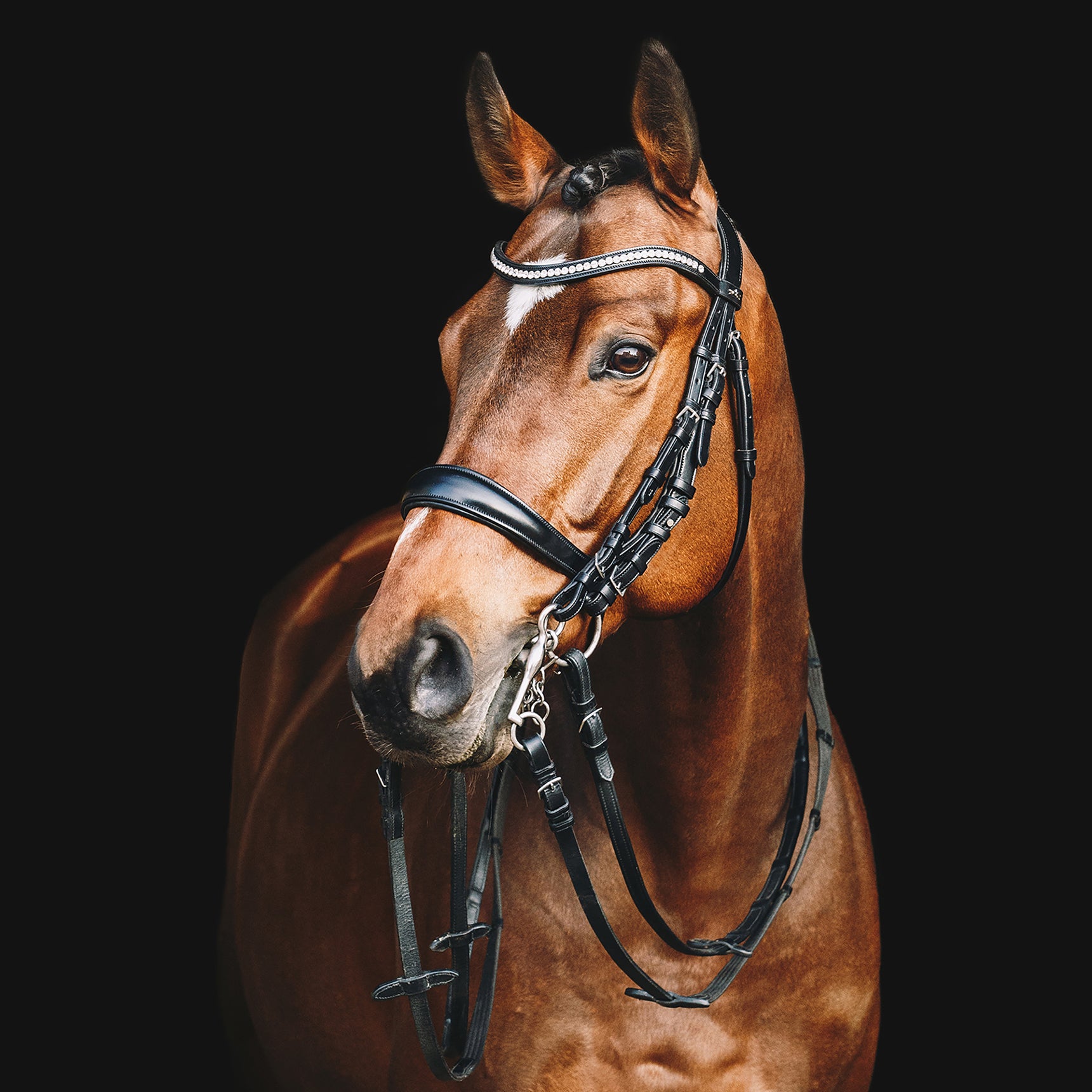 Schockemohle Equitus Gamma Anatomical Double Bridle, Black/Silver
