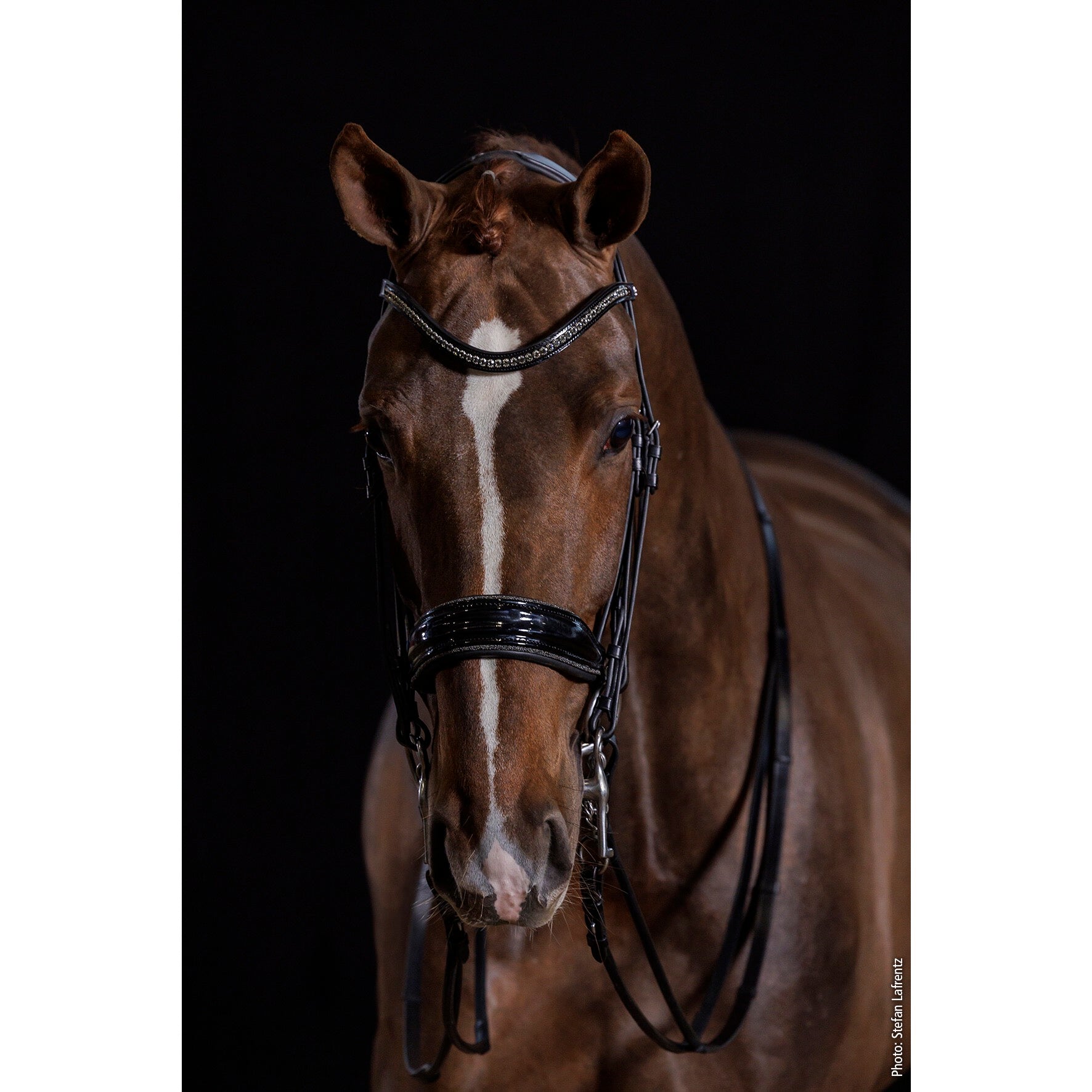 Schockemohle Milan GLAM Anatomical Double Bridle, Black Patent/Silver