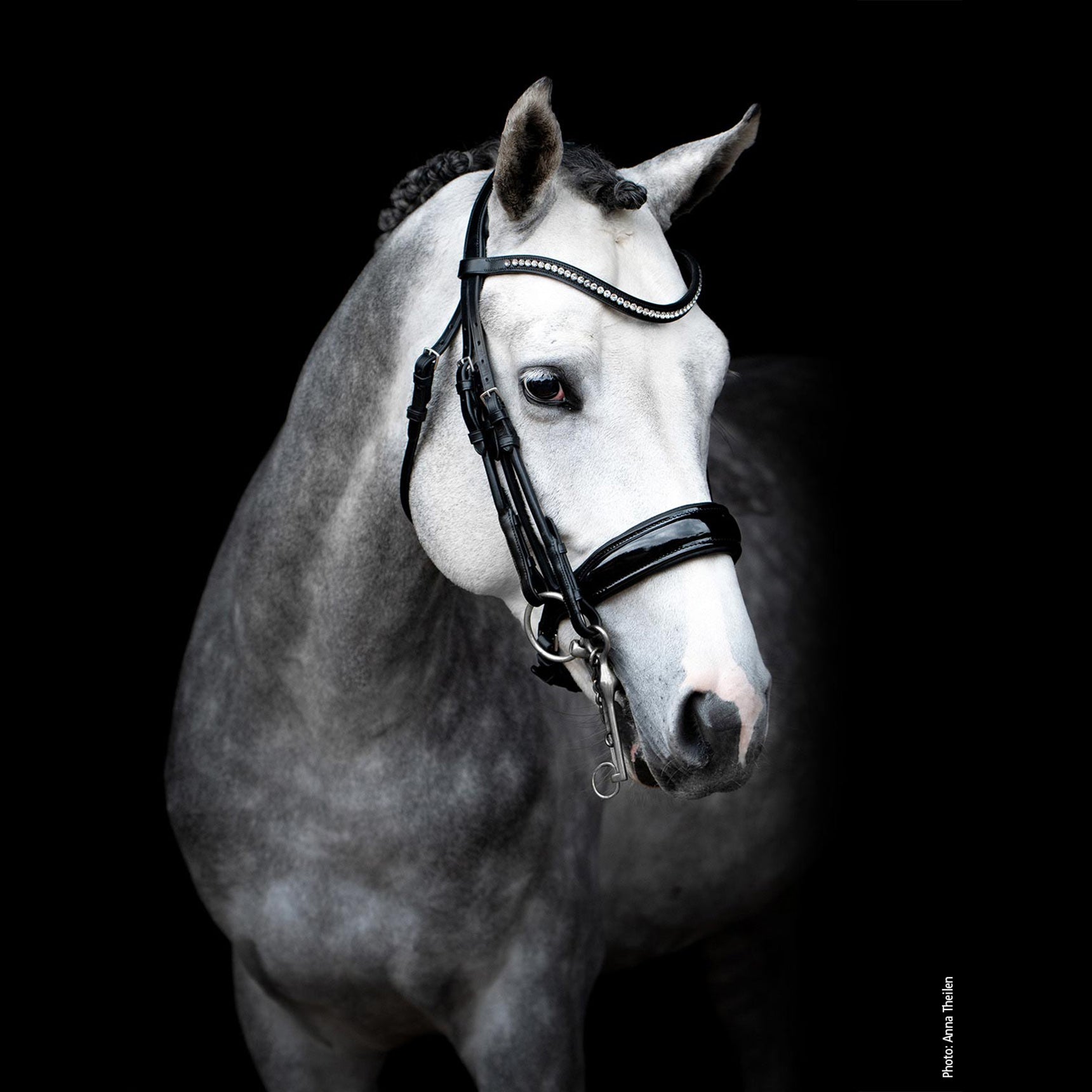 Schockemohle Venice Anatomic Double Bridle, Black Patent/Silver