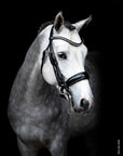 Schockemohle Venice Anatomic Double Bridle, Black Patent/Silver