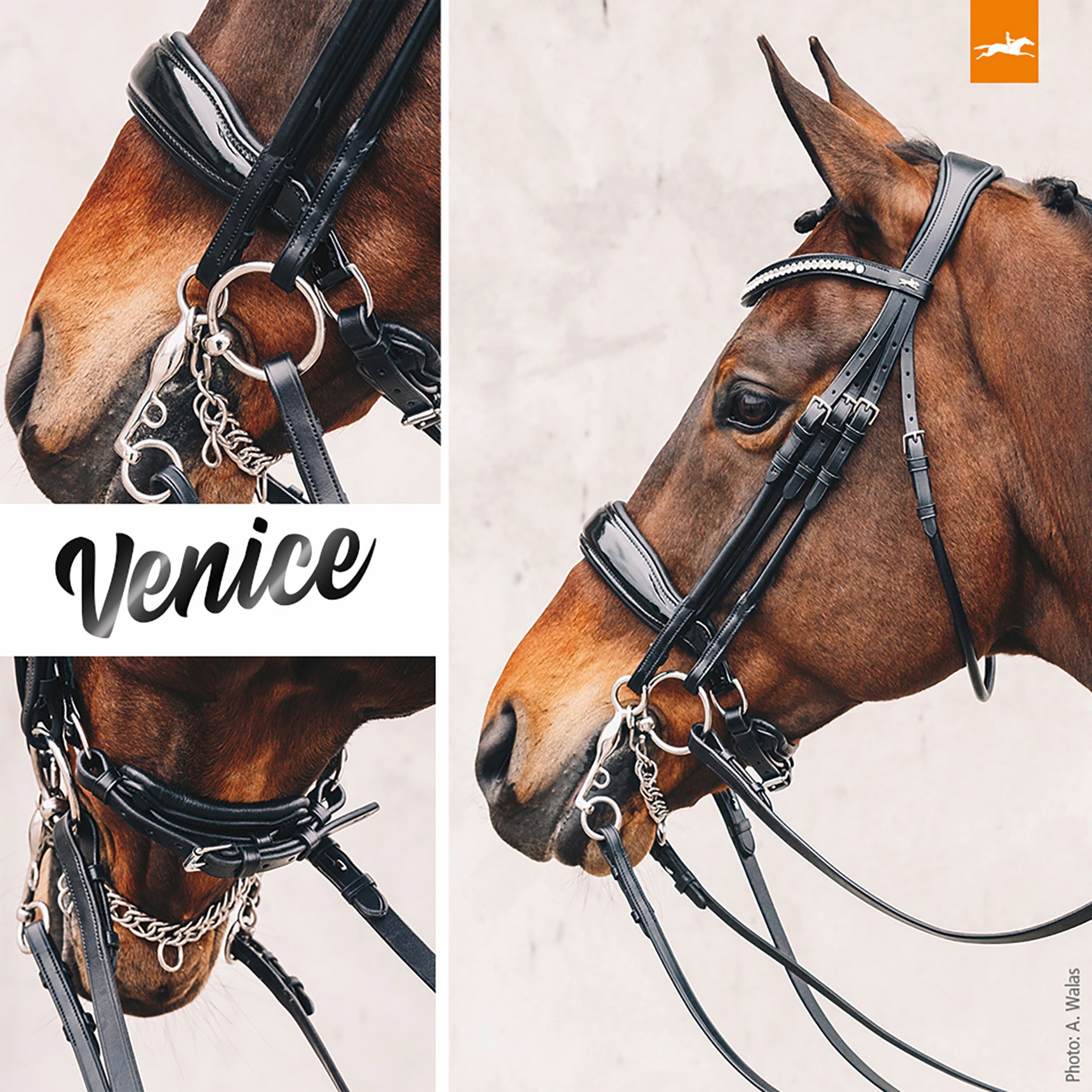 Schockemohle Venice Anatomic Double Bridle, Black Patent/Silver