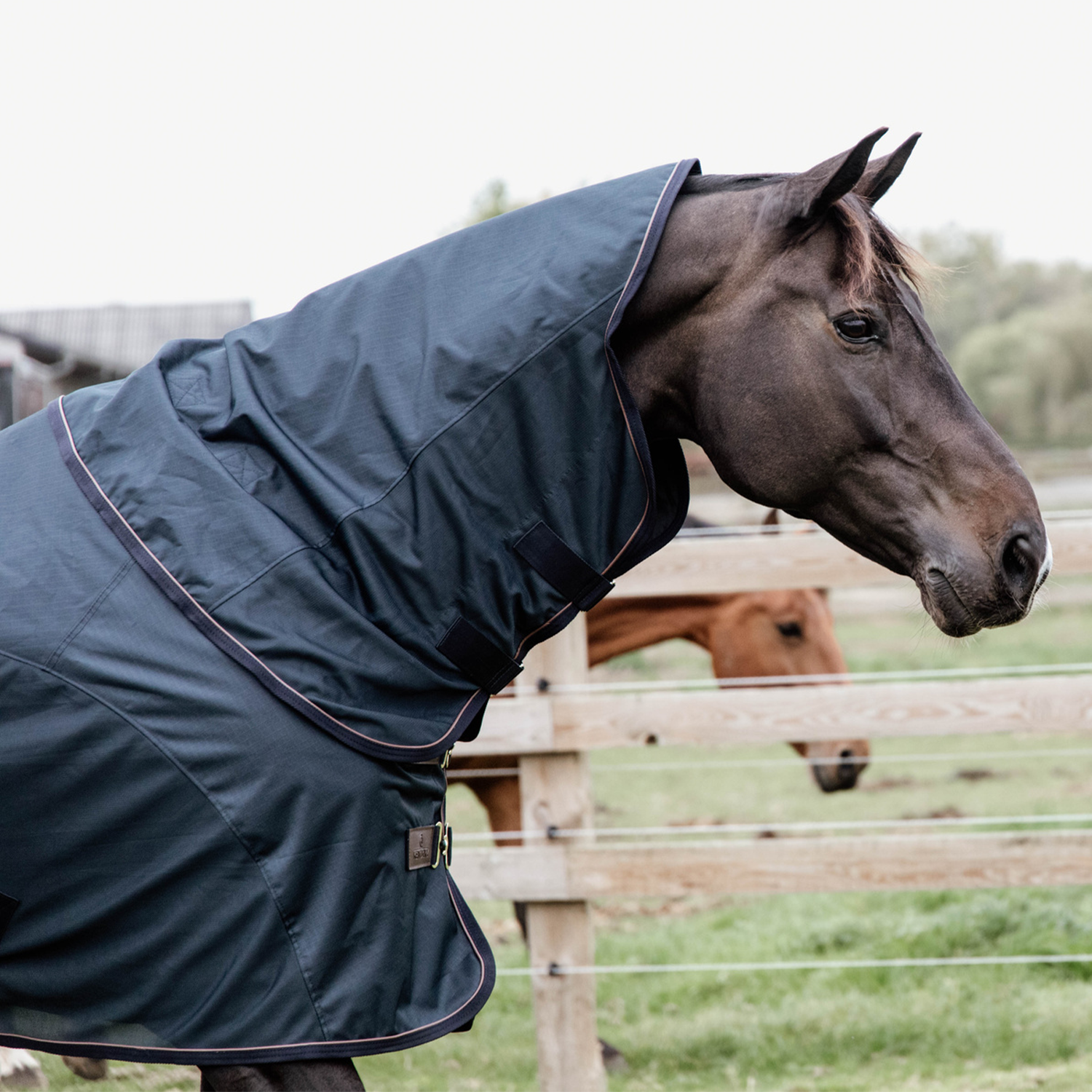 Kentucky Horsewear Waterproof Combo Fly Rug, Navy