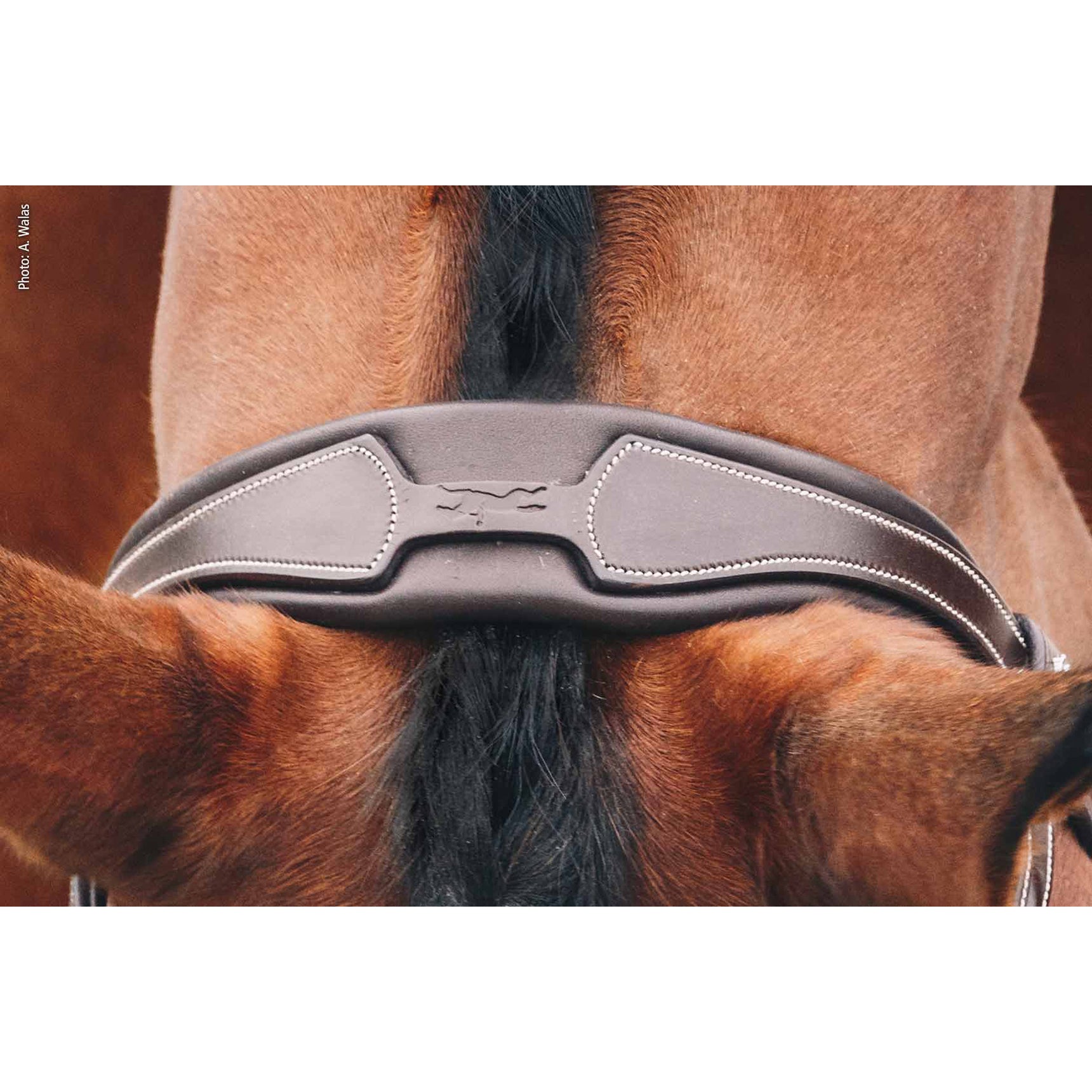 Schockemohle Head Piece Select, Black/Silver