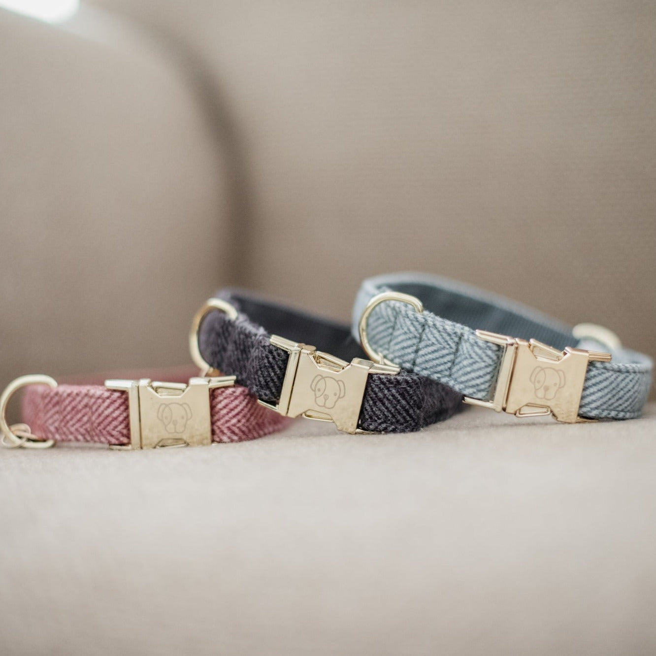 Kentucky Dog Collar Wool, Light Blue