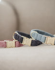Kentucky Dog Collar Wool, Light Blue