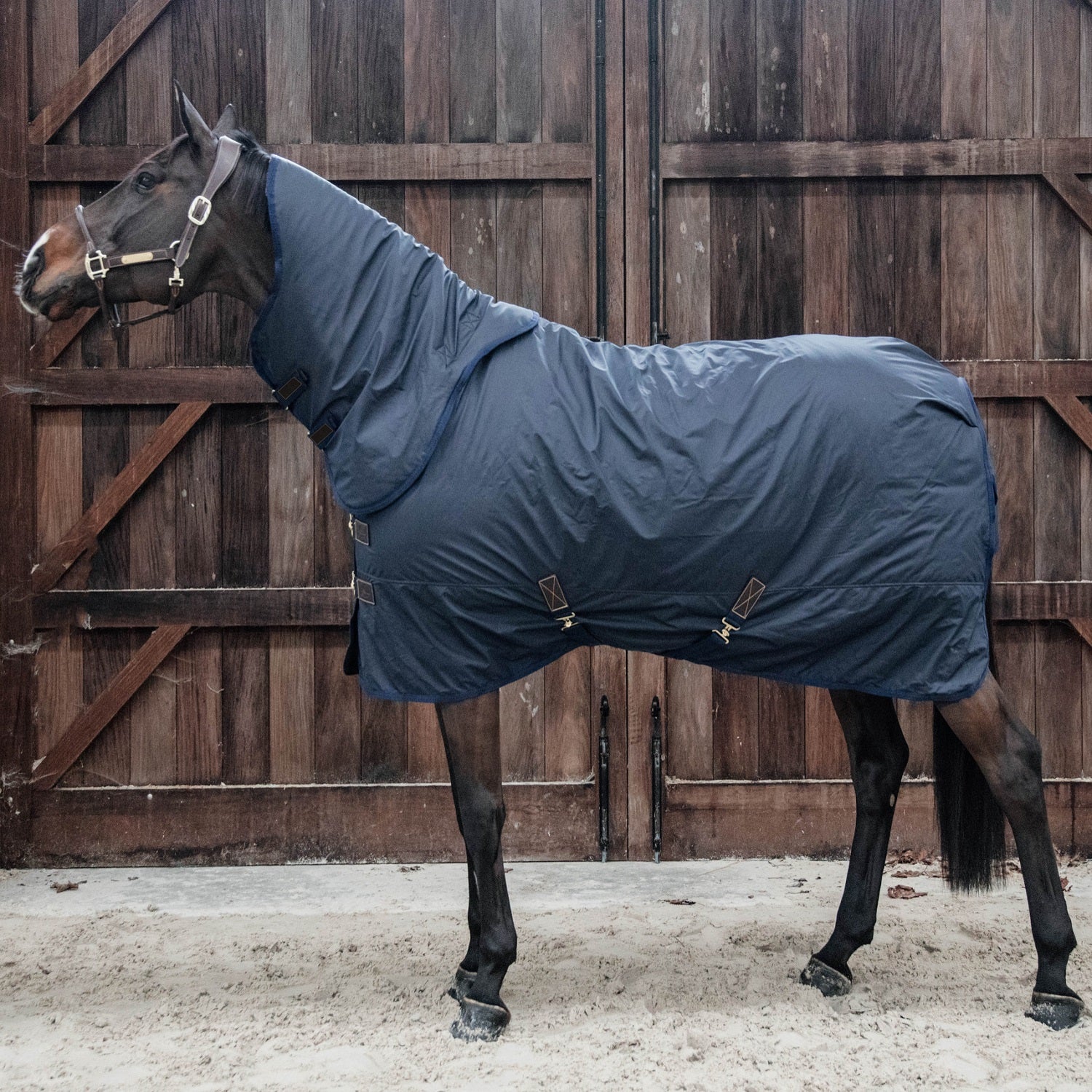 Kentucky Horsewear Neck All Weather Hurricane, Navy