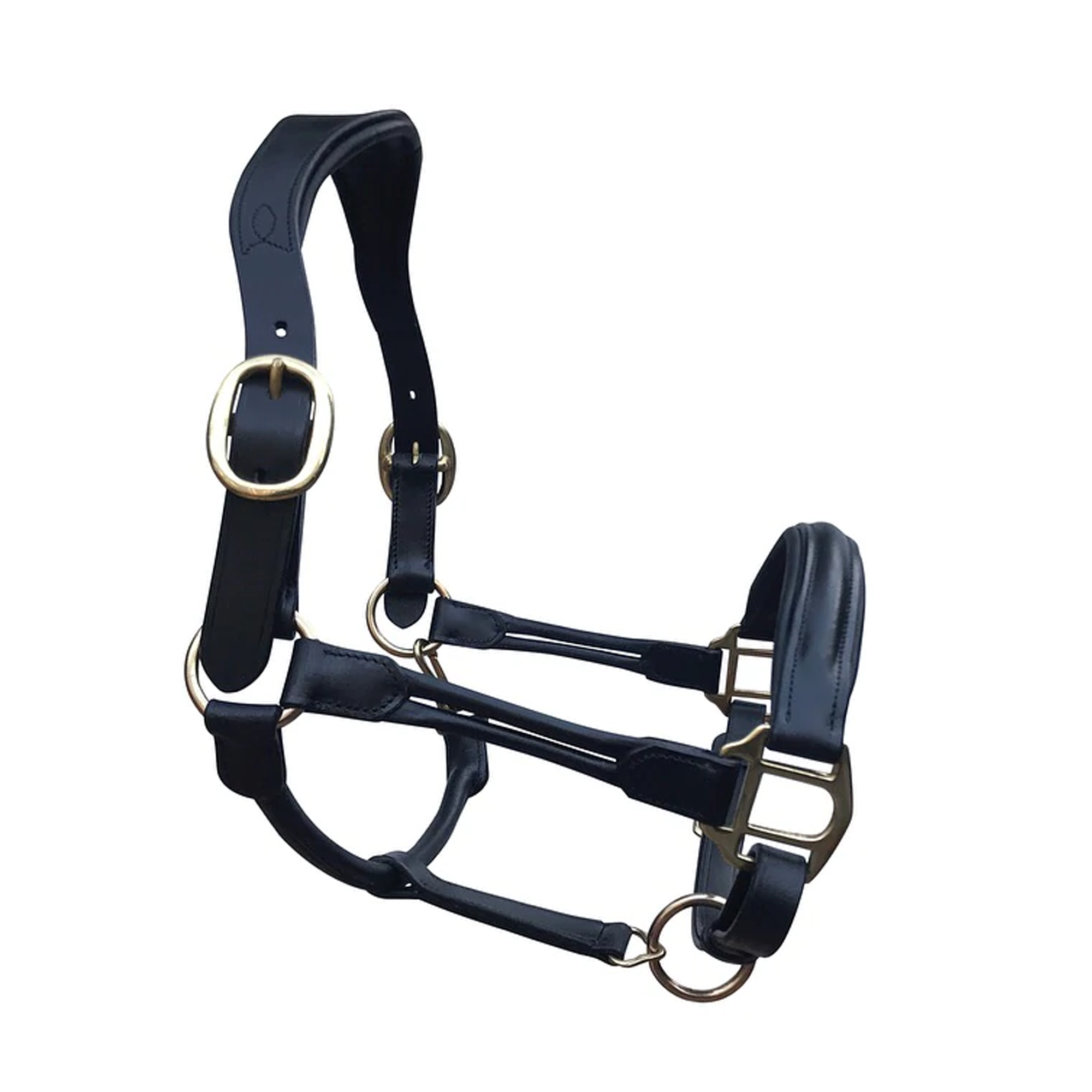 Lumiere Equestrian ALLEGRA Leather Halter, Black