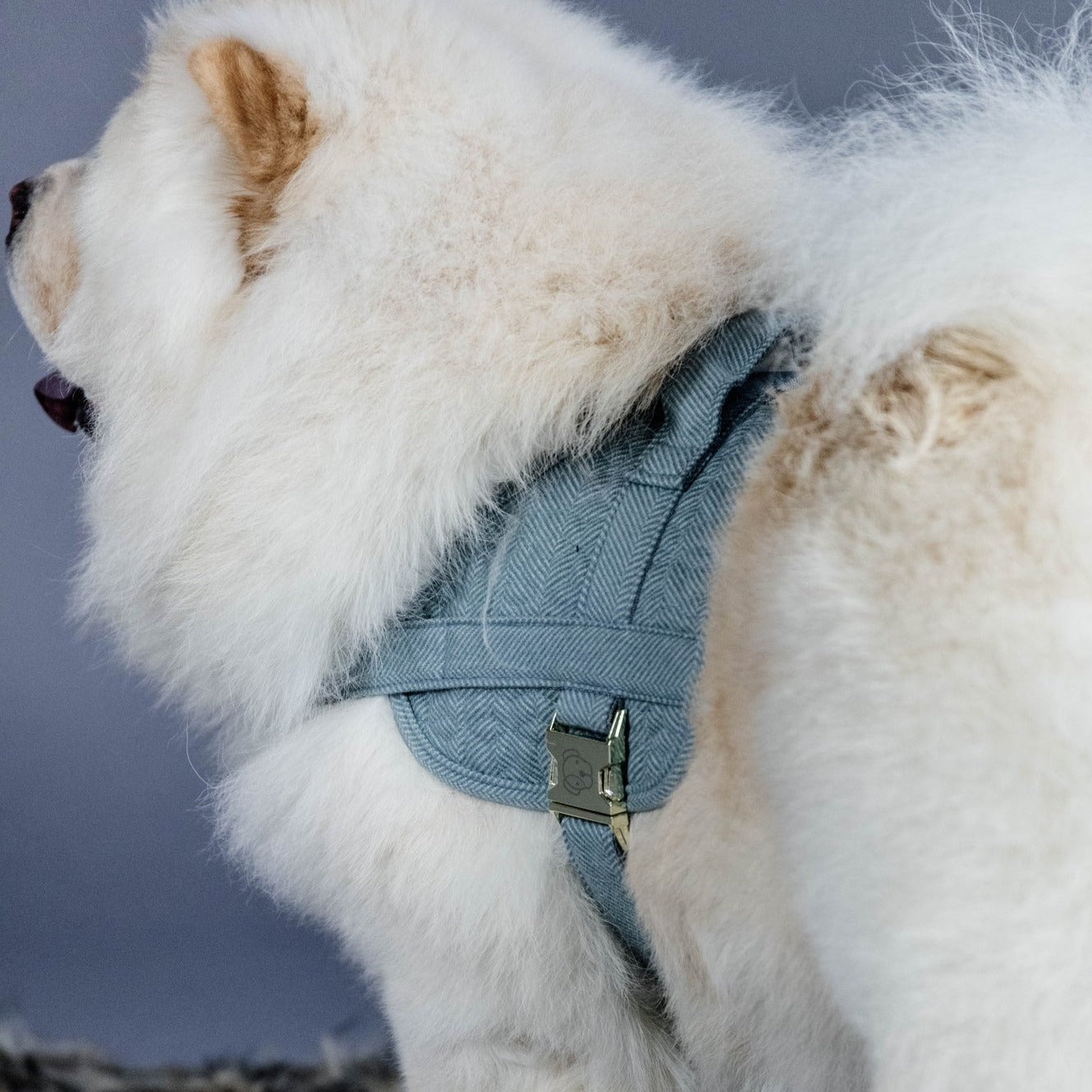 Kentucky Dog Harness Body Safe Wool, Light Blue