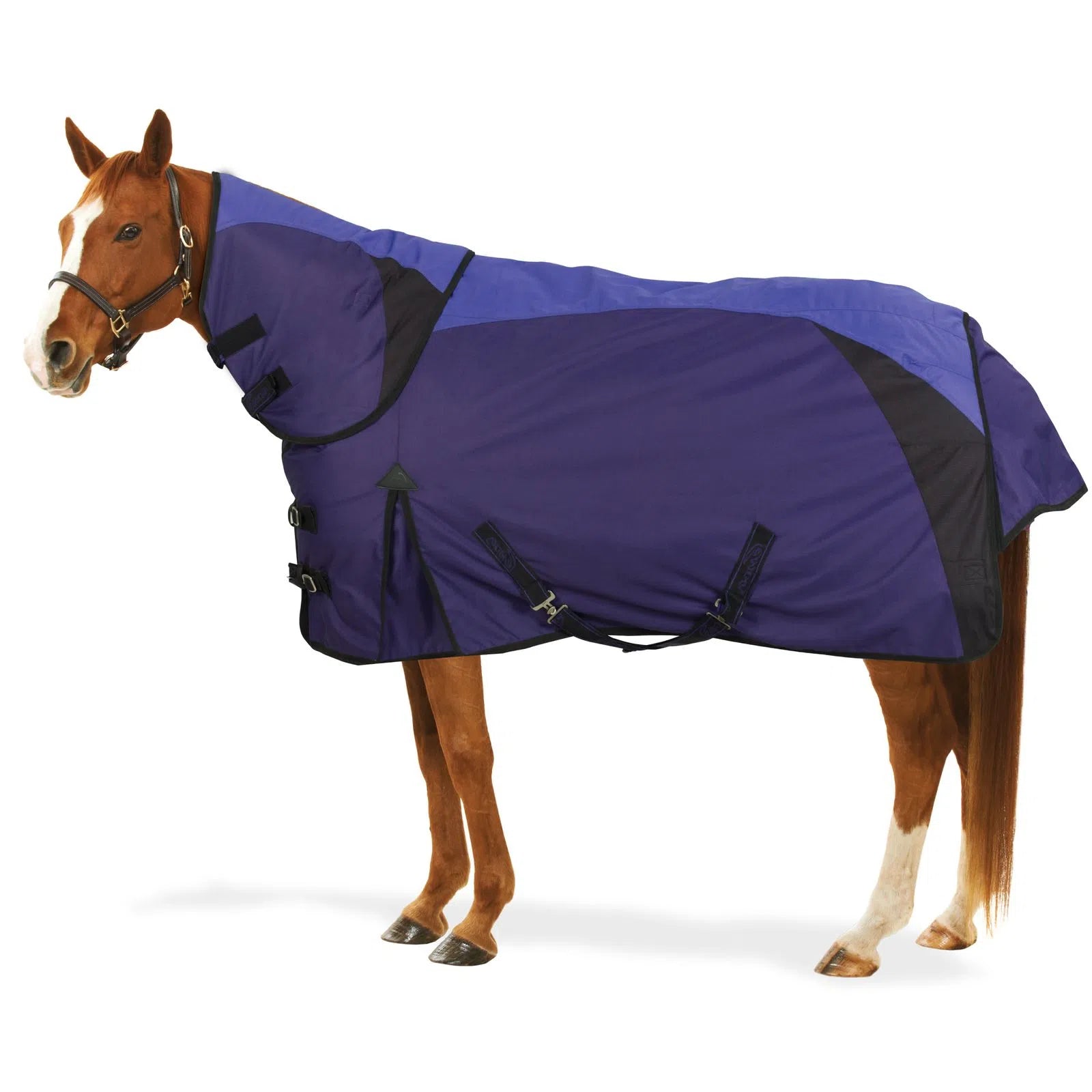 Pessoa Extreme X-Mesh Turnout Sheet, Mulberry-Violet