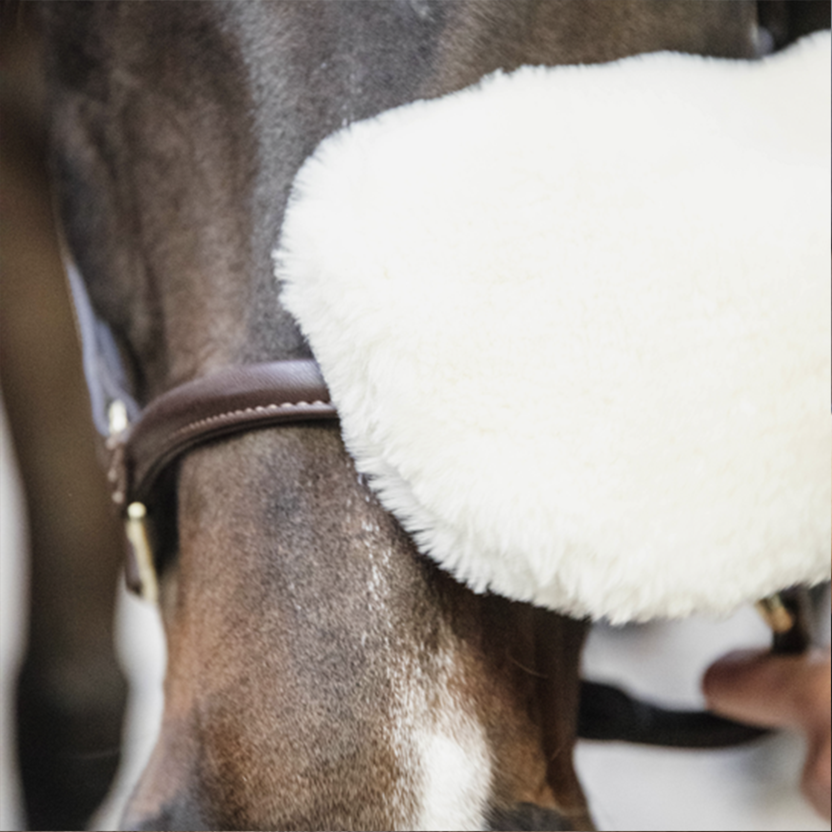Kentucky Horsewear Grooming Glove, Natural