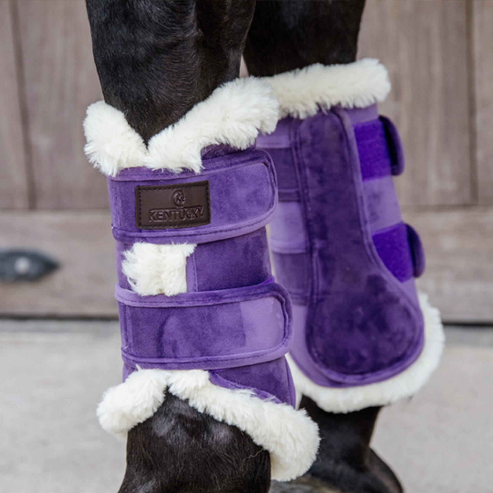 Kentucky Horsewear Brushing Boots Velvet Contrast, Royal Purple