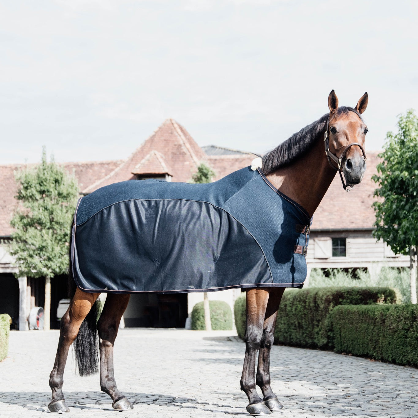Kentucky Horsewear Mesh Combo Cooler Sheet