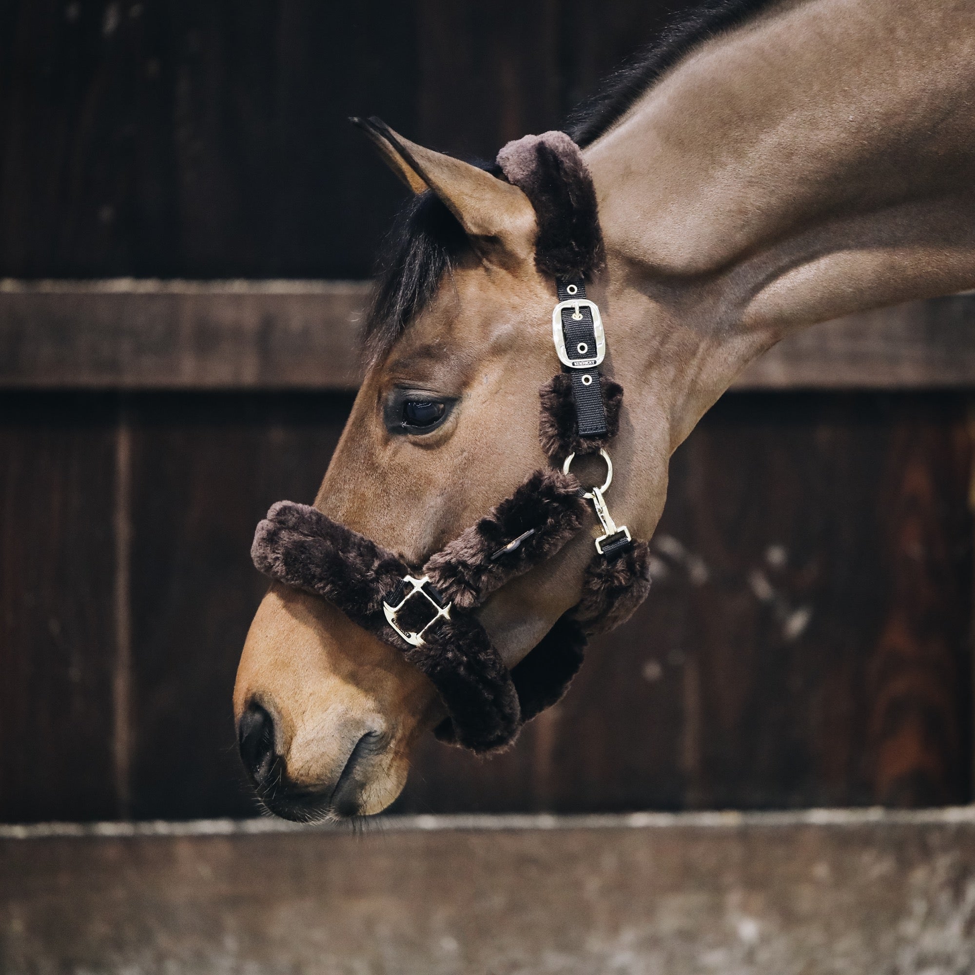 Kentucky Horsewear Sheepskin Shipping Halter, Brown