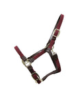 Kentucky Horsewear Plaited Nylon Halter, Bordeaux