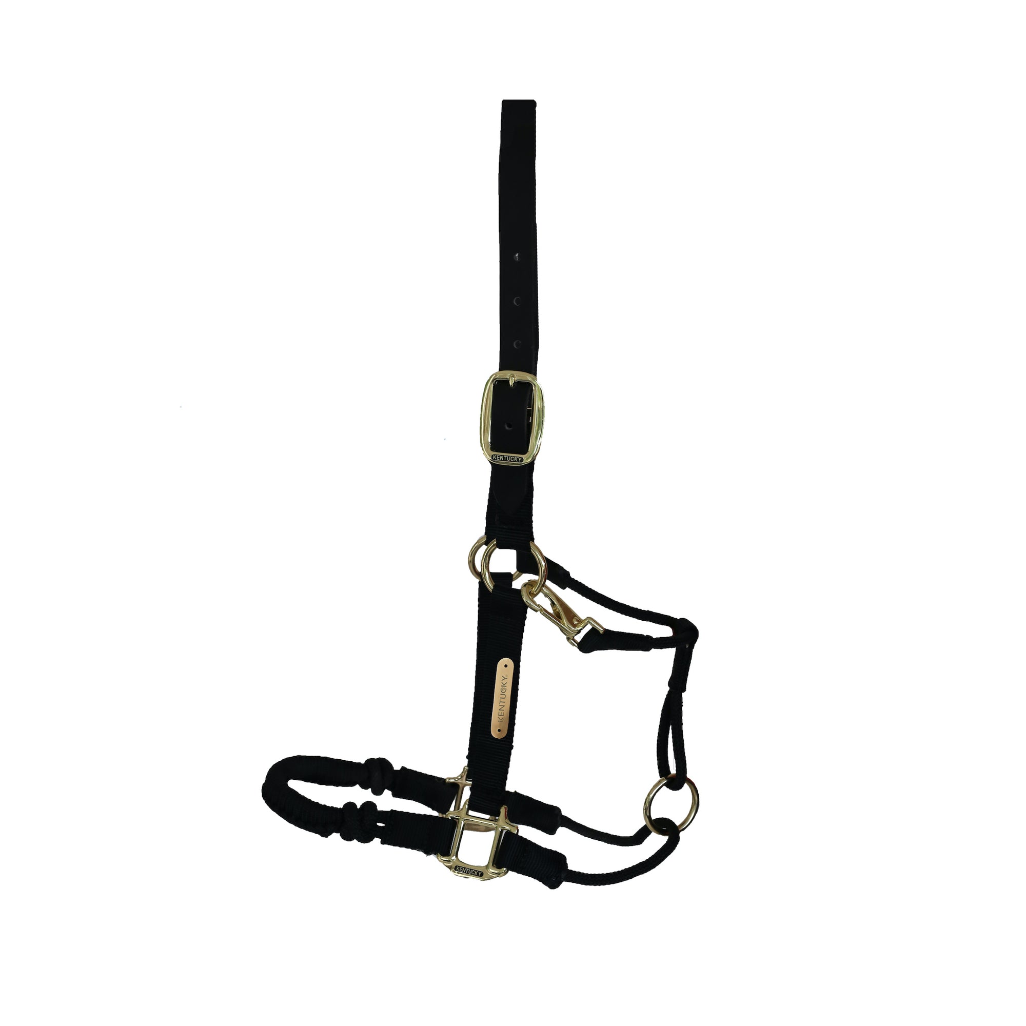 Kentucky Horsewear Control Halter, Black