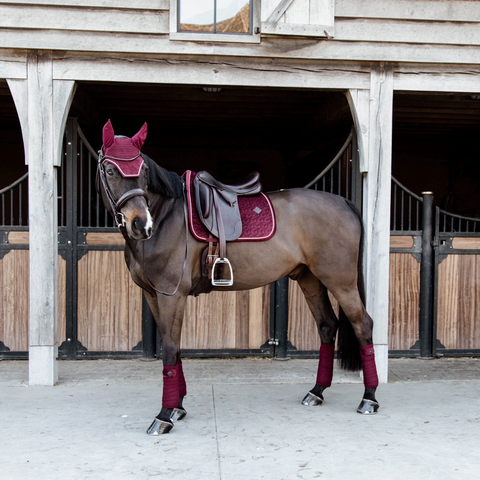 Kentucky Horsewear Saddle Pad Velvet Dressage Bordeaux Edition