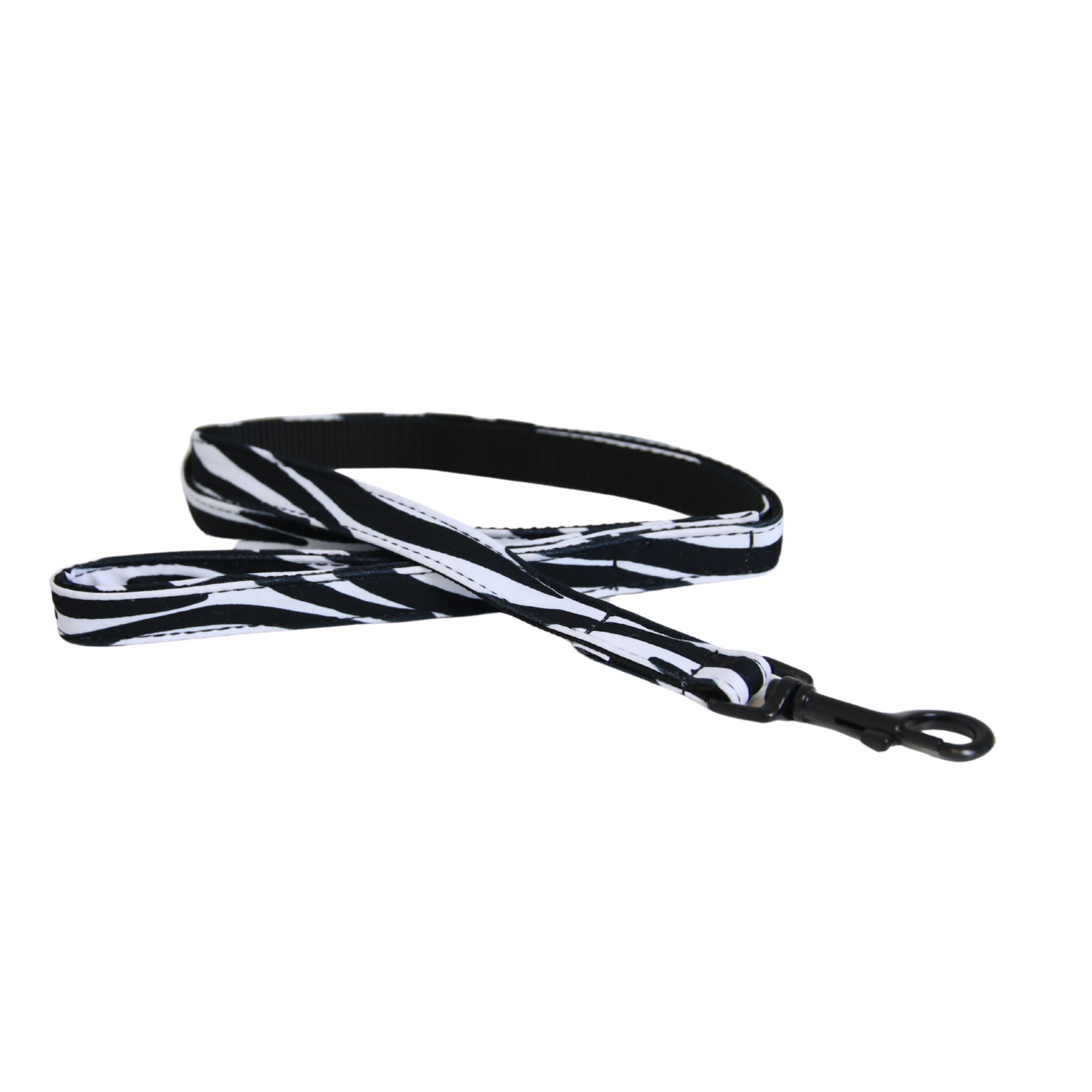 Kentucky Dog Lead Zebra