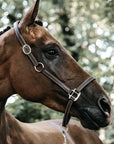 Kentucky Horsewear Vegan Leather Halter Flexible