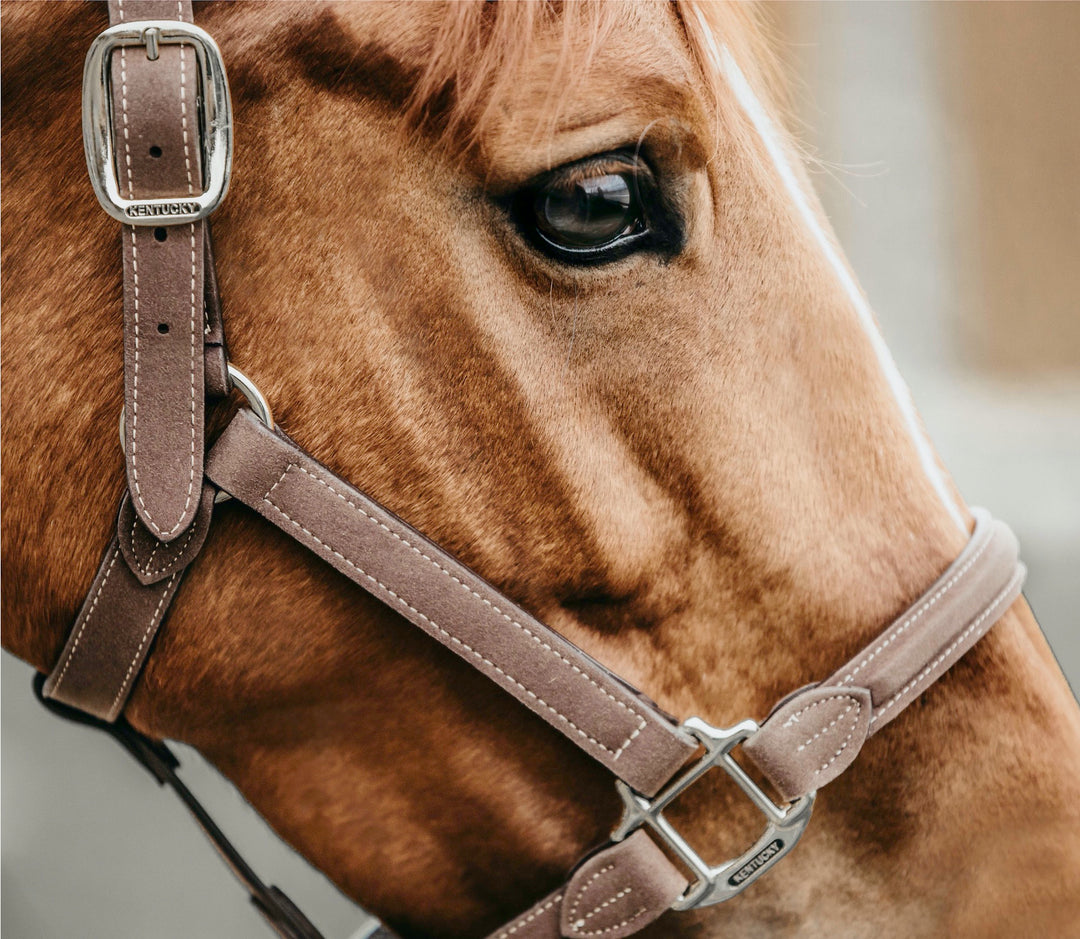 Kentucky Horsewear Anatomic Vegan Suede Halter