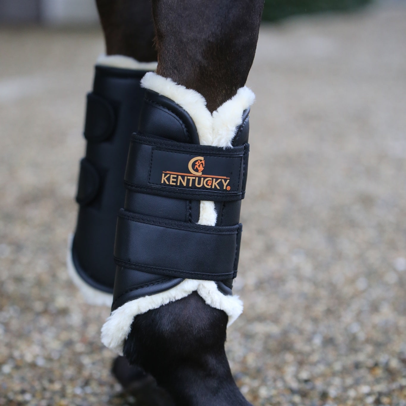 Kentucky Horsewear Turnout Boots Leather Front