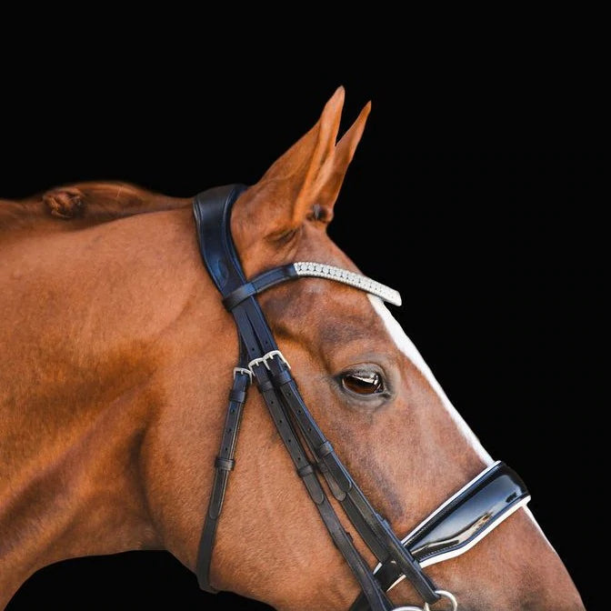 Lumiere Equestrian ADELINE Luxury Leather Double Bridle, Black with Reins