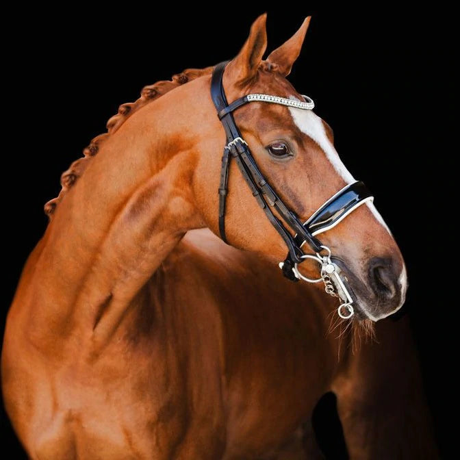 Lumiere Equestrian ADELINE Luxury Leather Double Bridle, Black with Reins