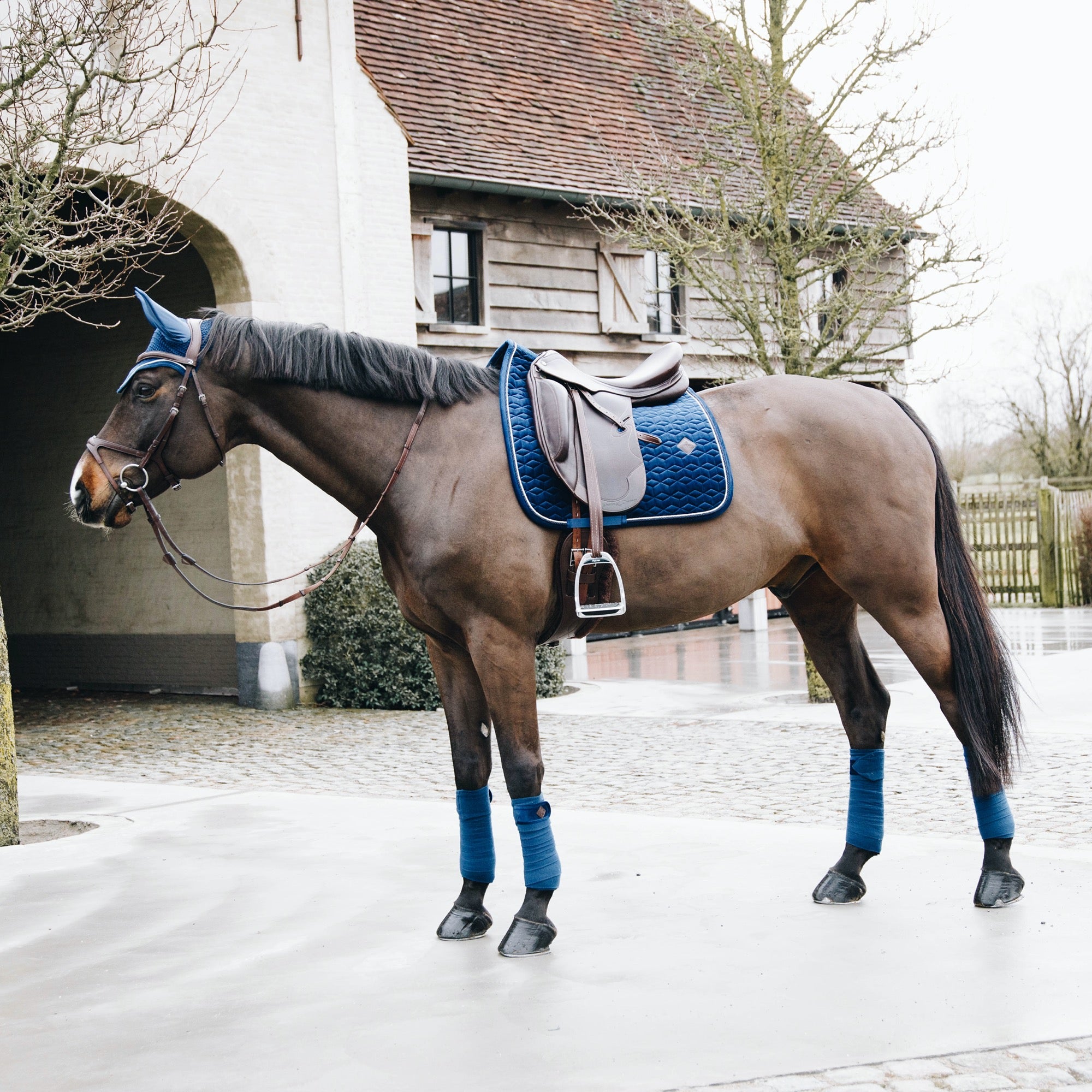 Kentucky Horsewear Saddle Pad Basic Velvet Dressage, Navy